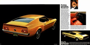 1971 Mustang (b)-10-11.jpg
